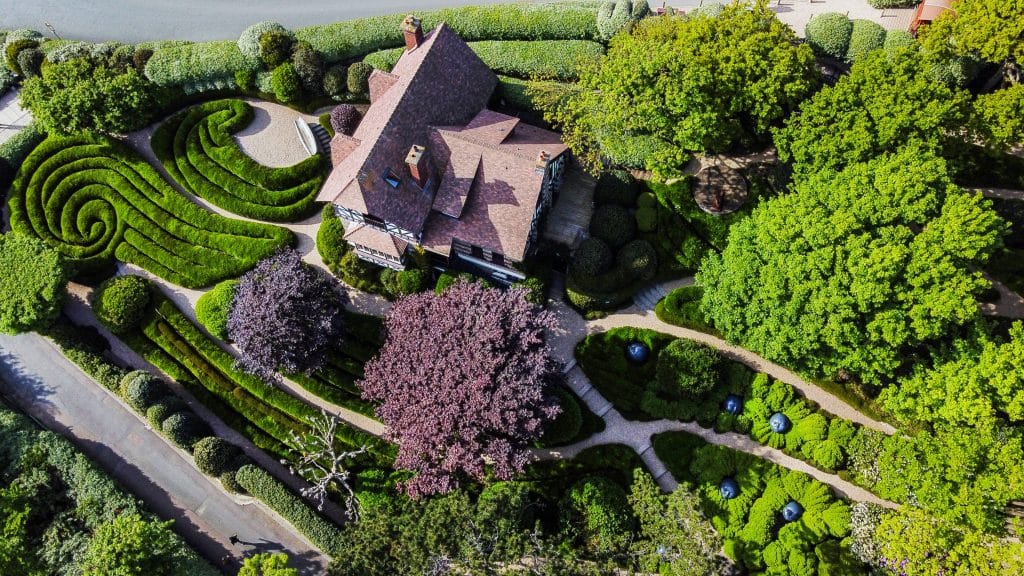 Taille Artistique & Topiaire