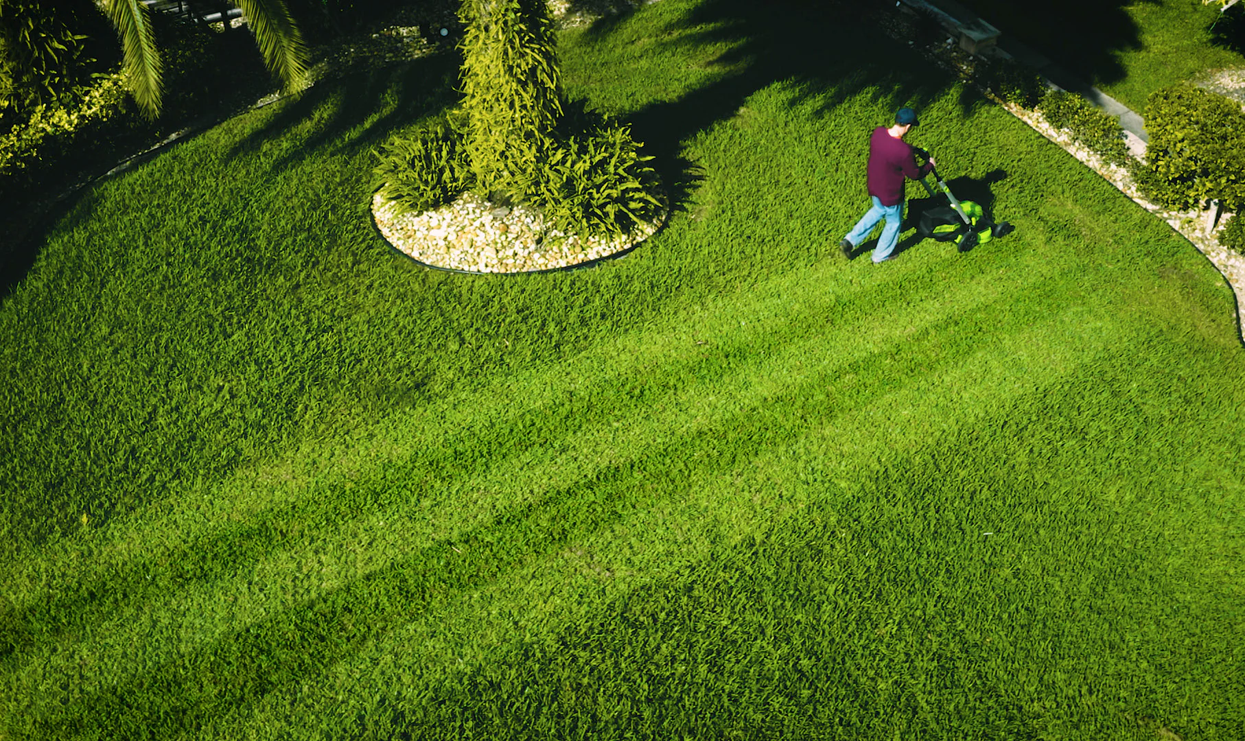 Pelouse Premium & Tracés